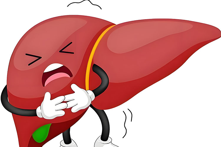 肝藏血养肝先养血